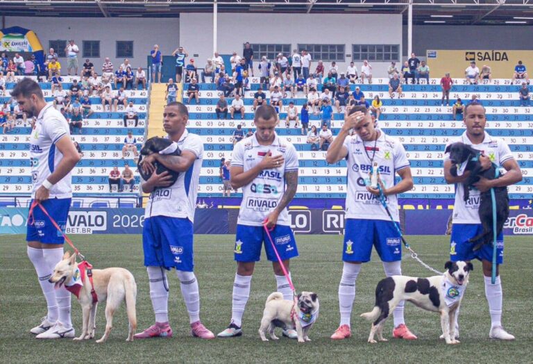 Jogadores do Santo André entram em campo com cães para incentivar adoções pet