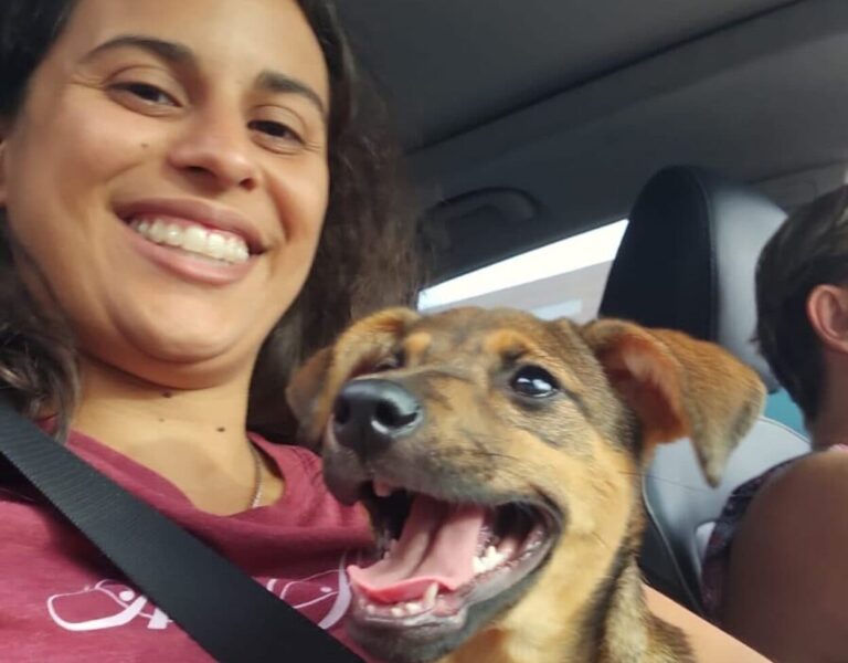 Do abandono ao novo lar: estudante de veterinária e família adotam cadela amarrada em árvore em SBC