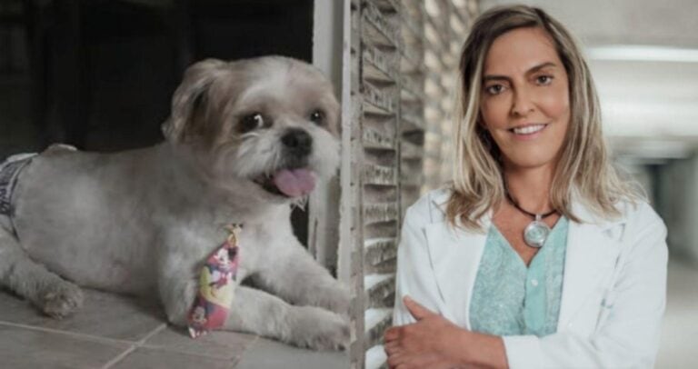 Cão com paralisia volta a se movimentar após tratamento com polilaminina, proteína criada pela pesquisadora Tatiana Sampaio.
