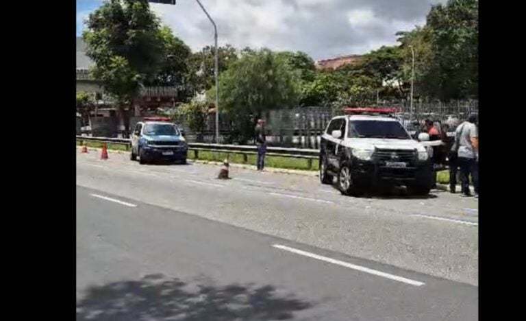 Corpo é encontrado na Avenida 31 de Março, em São Bernardo