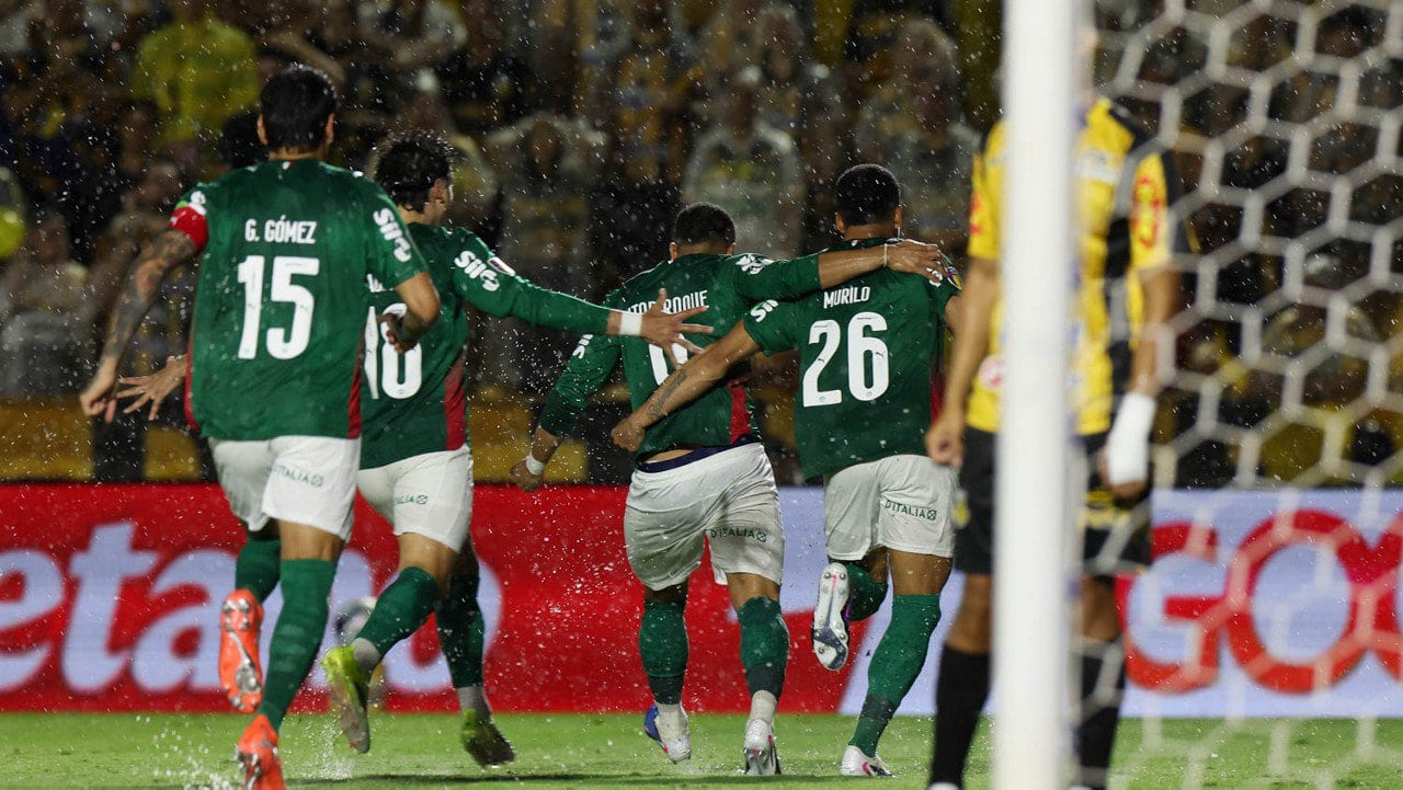 Palmeiras