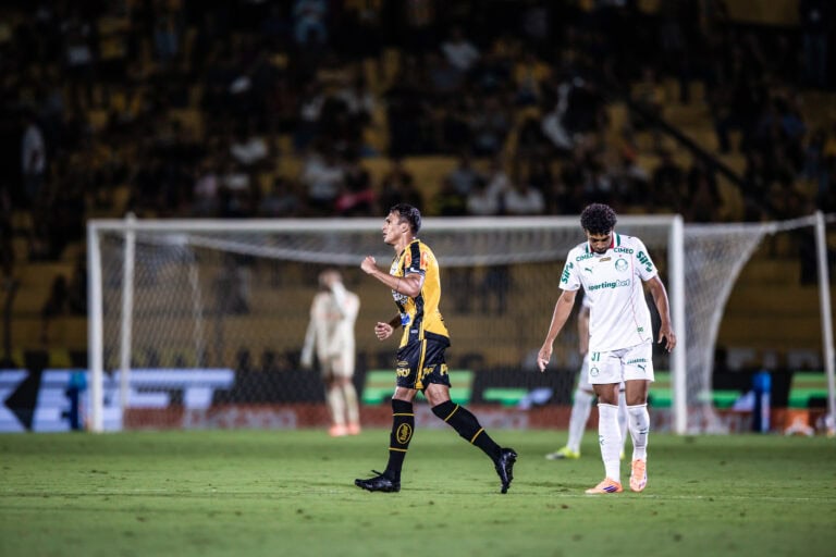Palmeiras