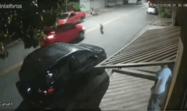 Milagre em São Bernardo: Câmera flagra momento em que carro atropela pitbull e motorista foge