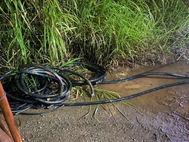 GCM de Mauá prende dois indivíduos por furto de cabos elétricos no Parque São Vicente