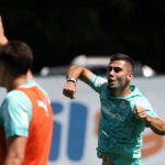 Palmeiras