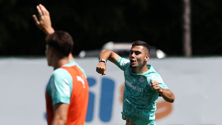 Palmeiras