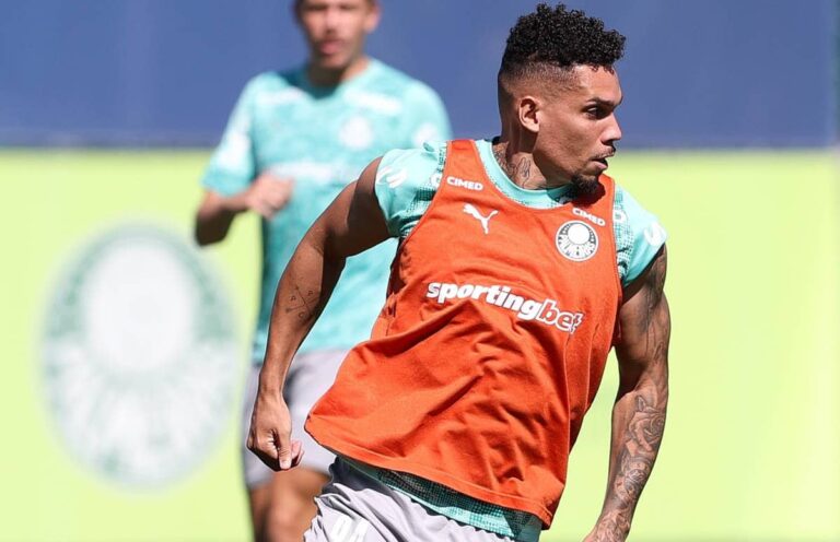 Palmeiras Paulinho
