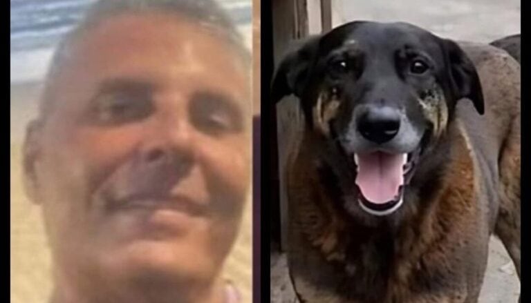 Investigado por coação no caso "Cão Orelha" morre após infarto em Florianópolis