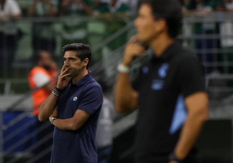 Palmeiras Abel