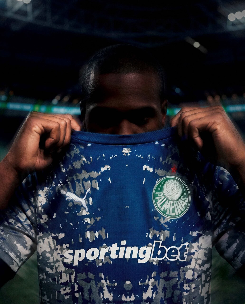 Palmeiras