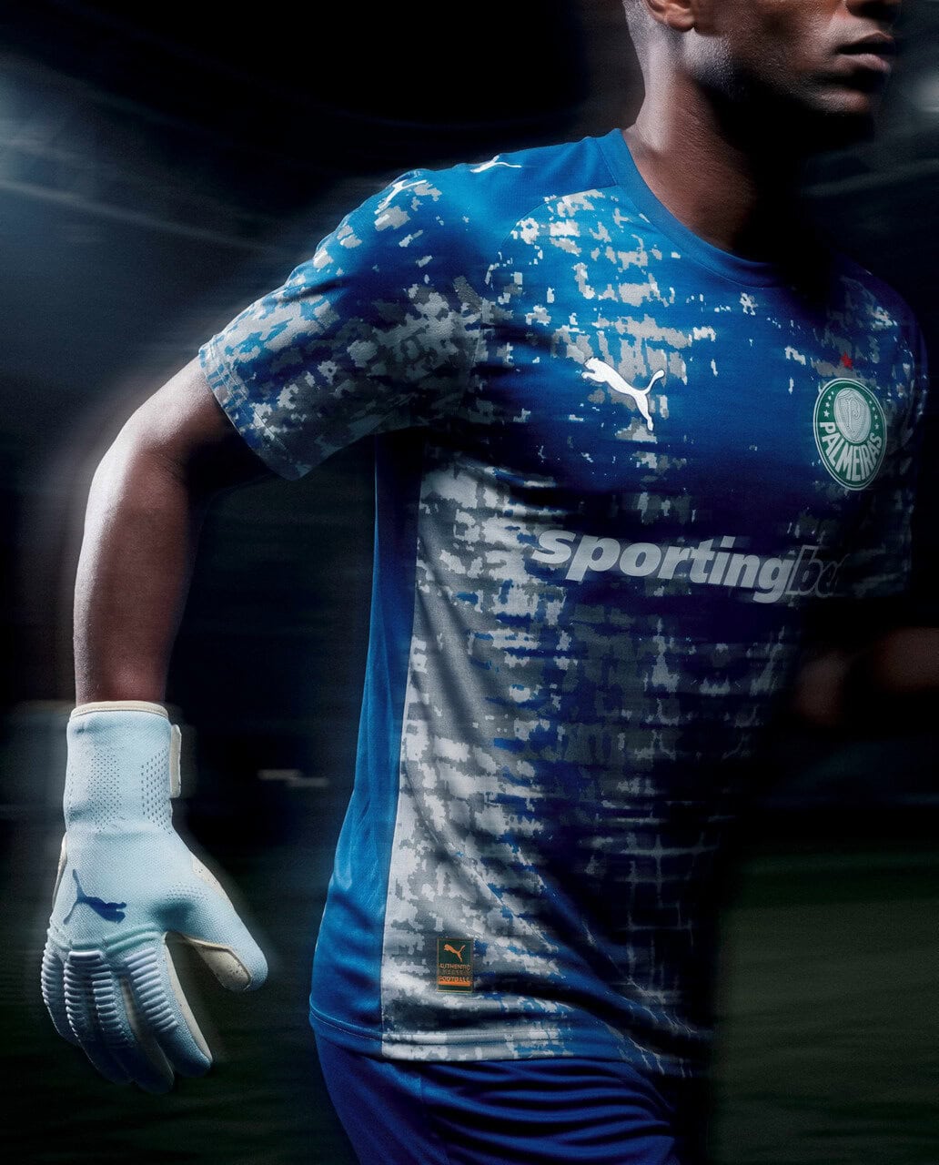 Palmeiras