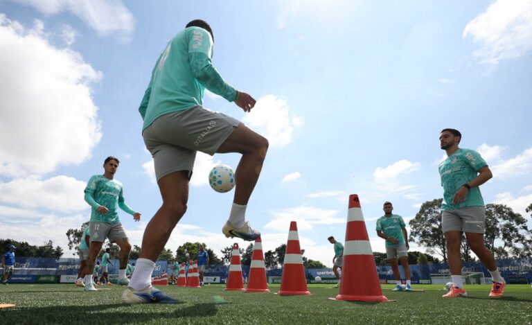 Palmeiras