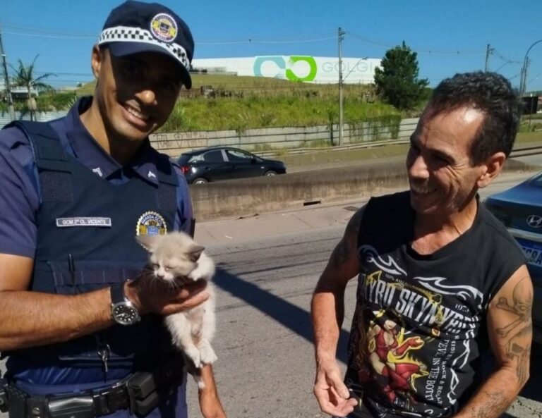 GCM de Mauá resgata filhote em via expressa e promove adoção responsável
