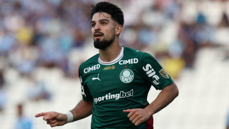 Palmeiras Flaco argentina
