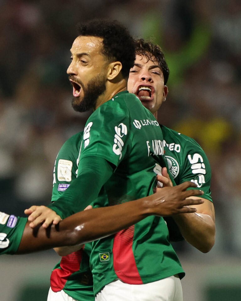 palmeiras