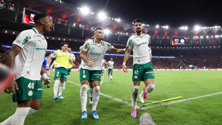palmeiras