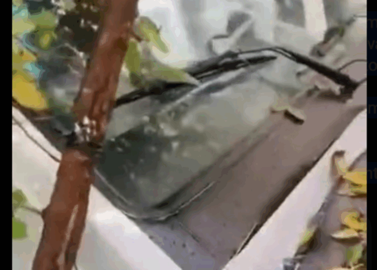 Caminhão desgovernado atinge oito veículos em grave acidente em São Bernardo
