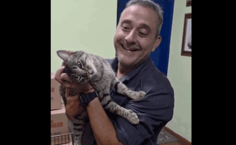 Será que a família vai crescer? Guto Volpi se encanta por gatinha durante evento oficial