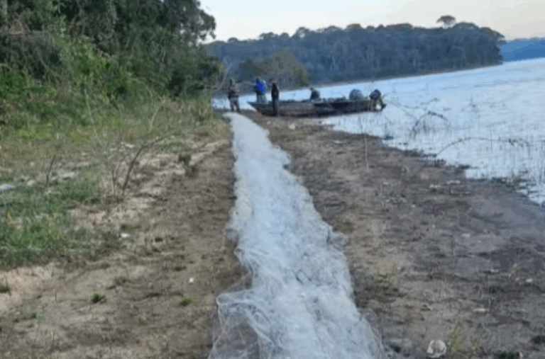 GCM Ambiental destrói rancho clandestino usado para caça e pesca ilegal em São Bernardo
