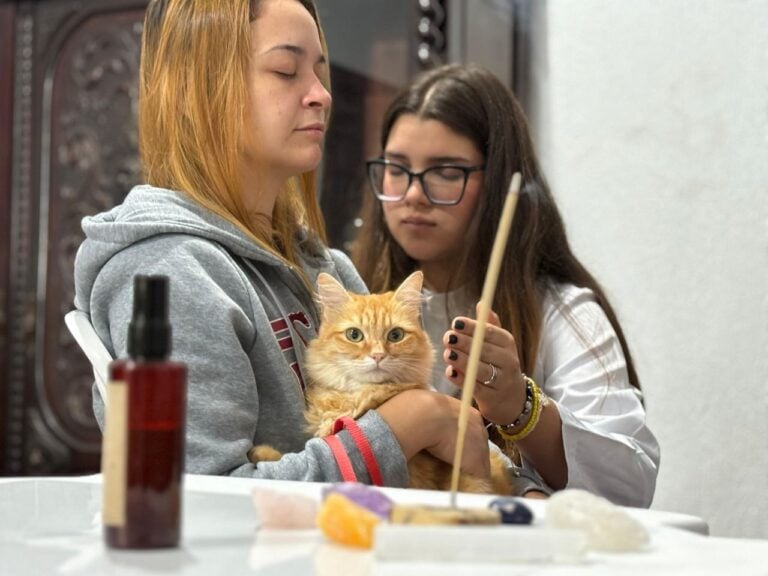 Mãos que Curam” realiza mais de 70 atendimentos e amplia cuidado para pets em Ribeirão Pires