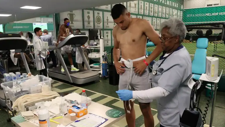 Palmeiras