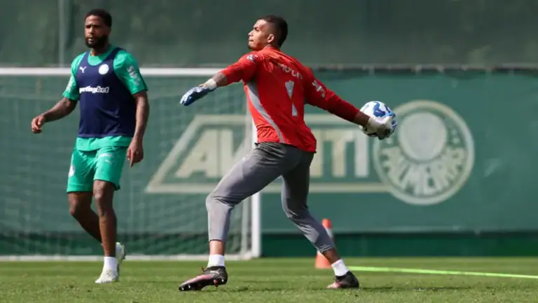 Palmeiras