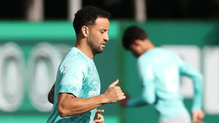 Palmeiras