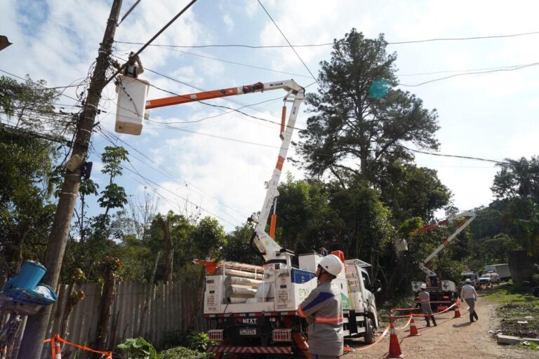 ENEL realiza mutirão com mais de 600 podas preventivas em Rio Grande da Serra