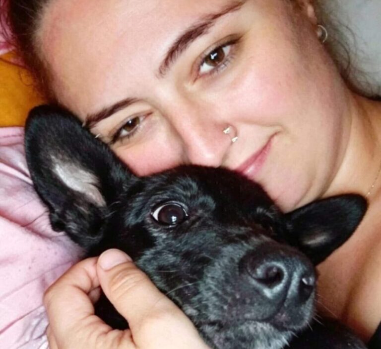 Cão resgatado em São Bernardo é devolvido e termina novamente nos braços da própria protetora