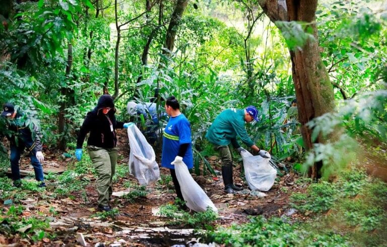No Mês do Meio Ambiente Diadema realiza programação diversa para discutir questões climáticas