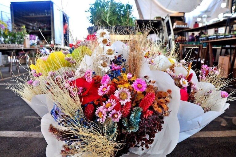 Craisa conta com diversas opções de flores para presentear no Dia dos Namorados