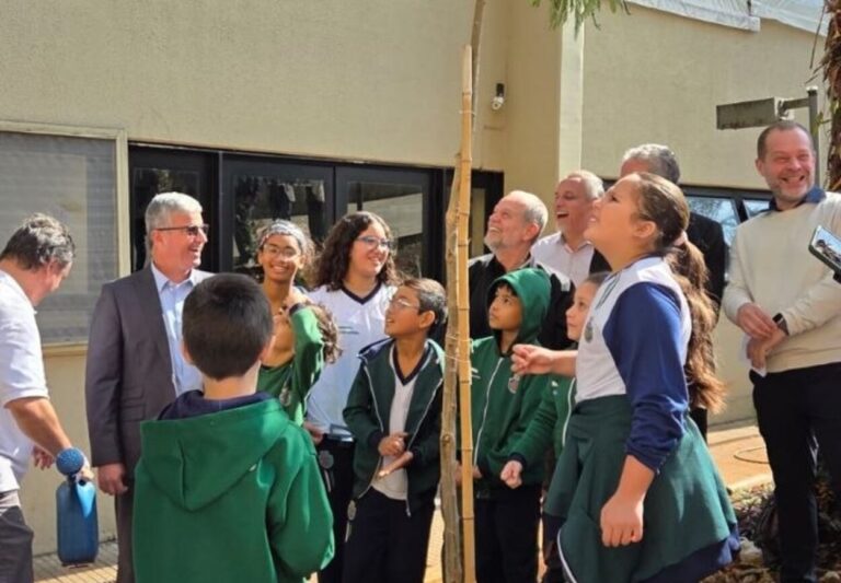 São Caetano recebe espécies nativas com o ‘Projeto Árvore Mais Segura’ da Enel