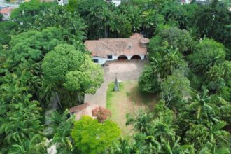 Primeira Feira Mística – Jardim dos Elementos promove dia de espiritualidade, cultura e bem-estar em Ribeirão Pires