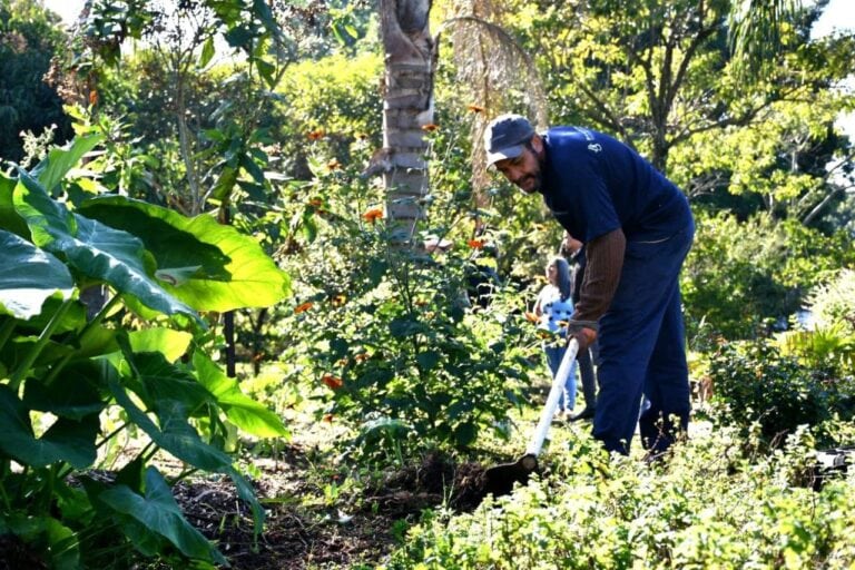 Santo André terá Centro de Referência para Agricultura e Segurança Alimentar