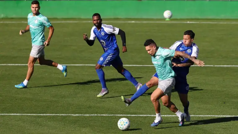 Palmeiras