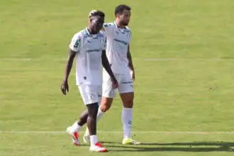 Palmeiras