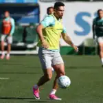 Palmeiras