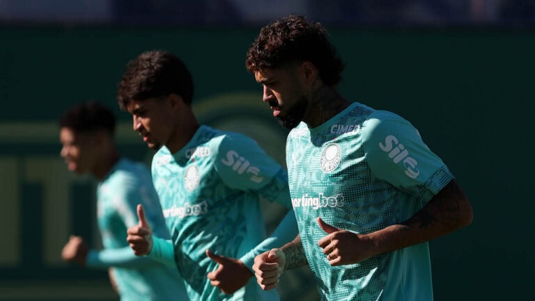 palmeiras