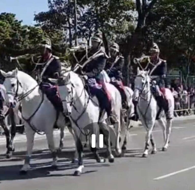 Ibirapuera sedia homenagens aos 94 anos da Revolução Constitucionalista de 1932