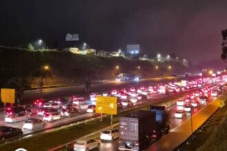Feriado de 9 de Julho: Ecovias espera até 315 mil veículos no Sistema Anchieta-Imigrantes